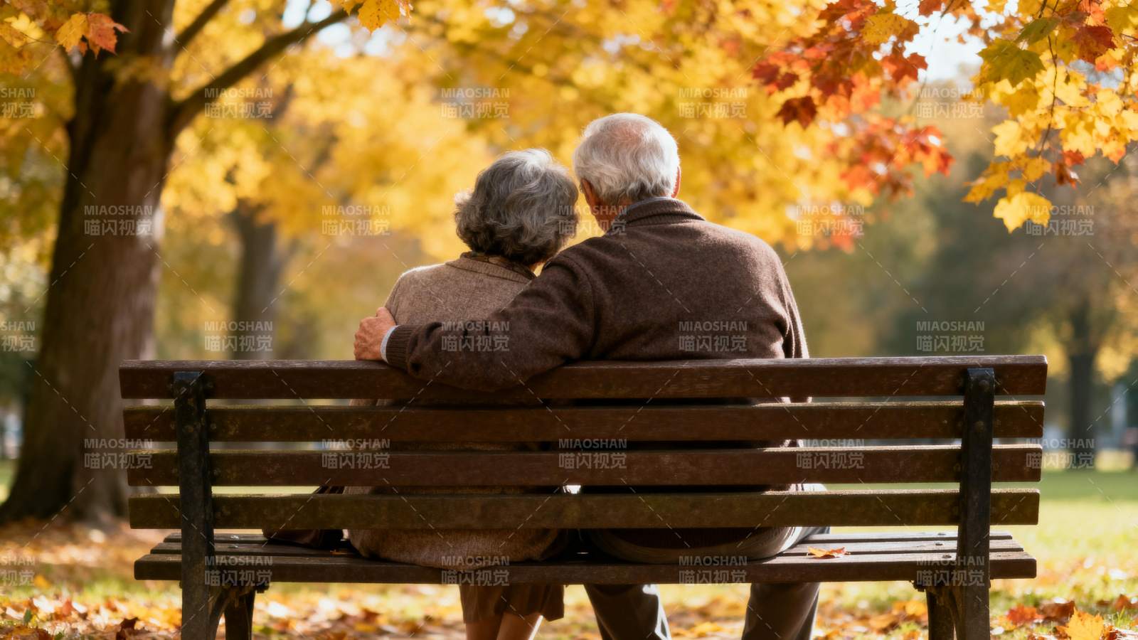 秋日公园共度时光图片