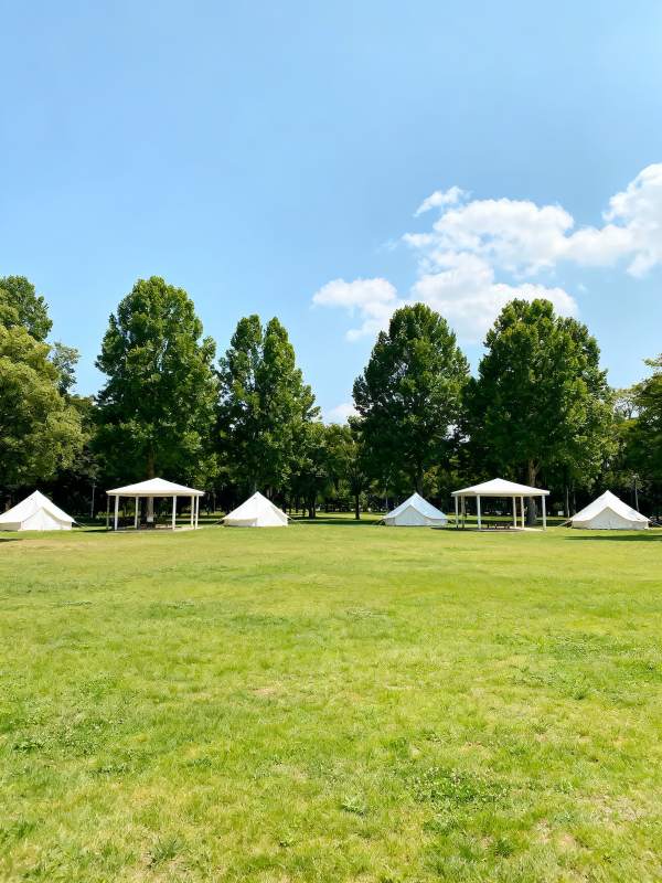 绿茵上的白色帐篷图片