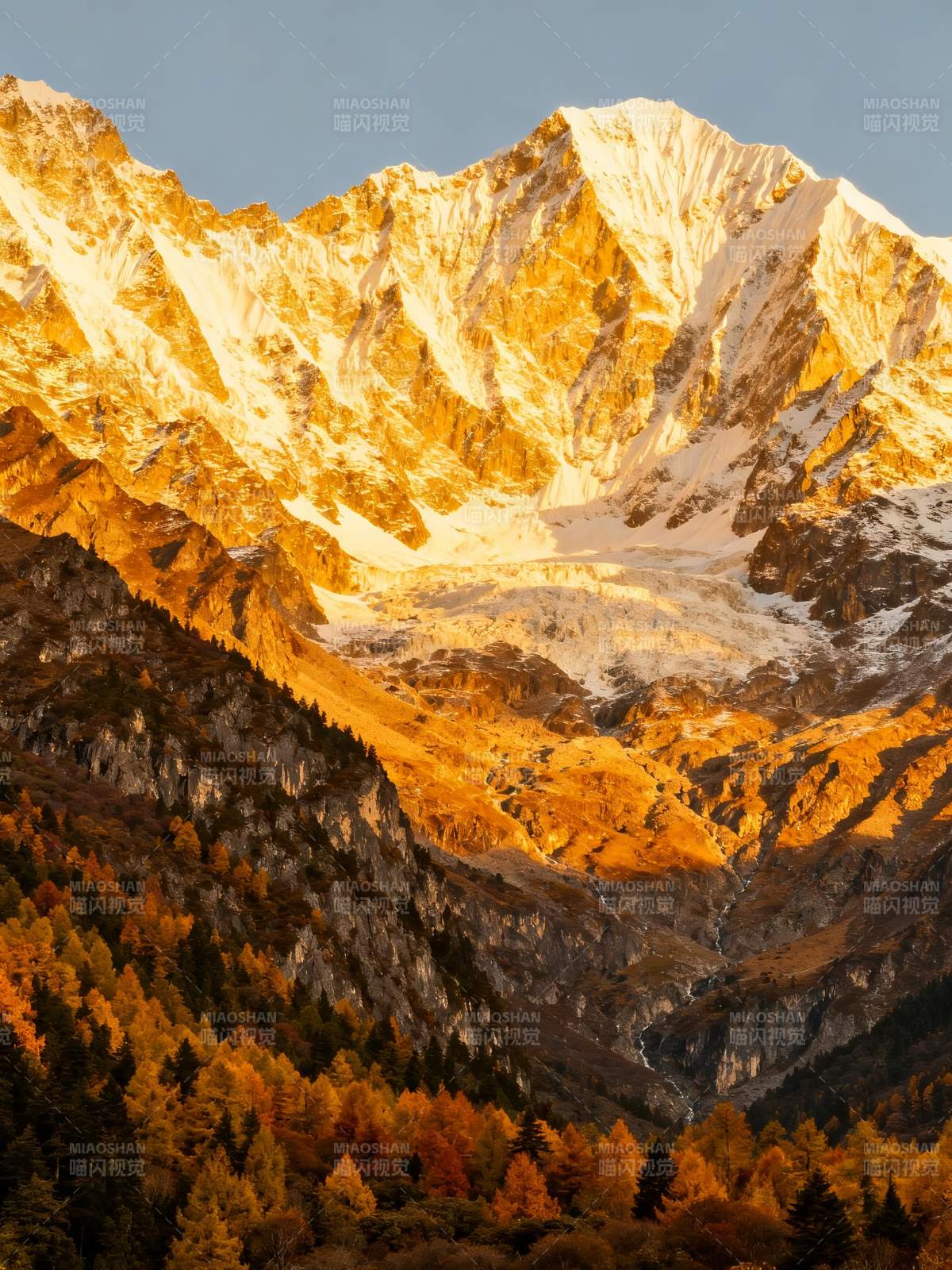 秋山雪峰金光耀图片