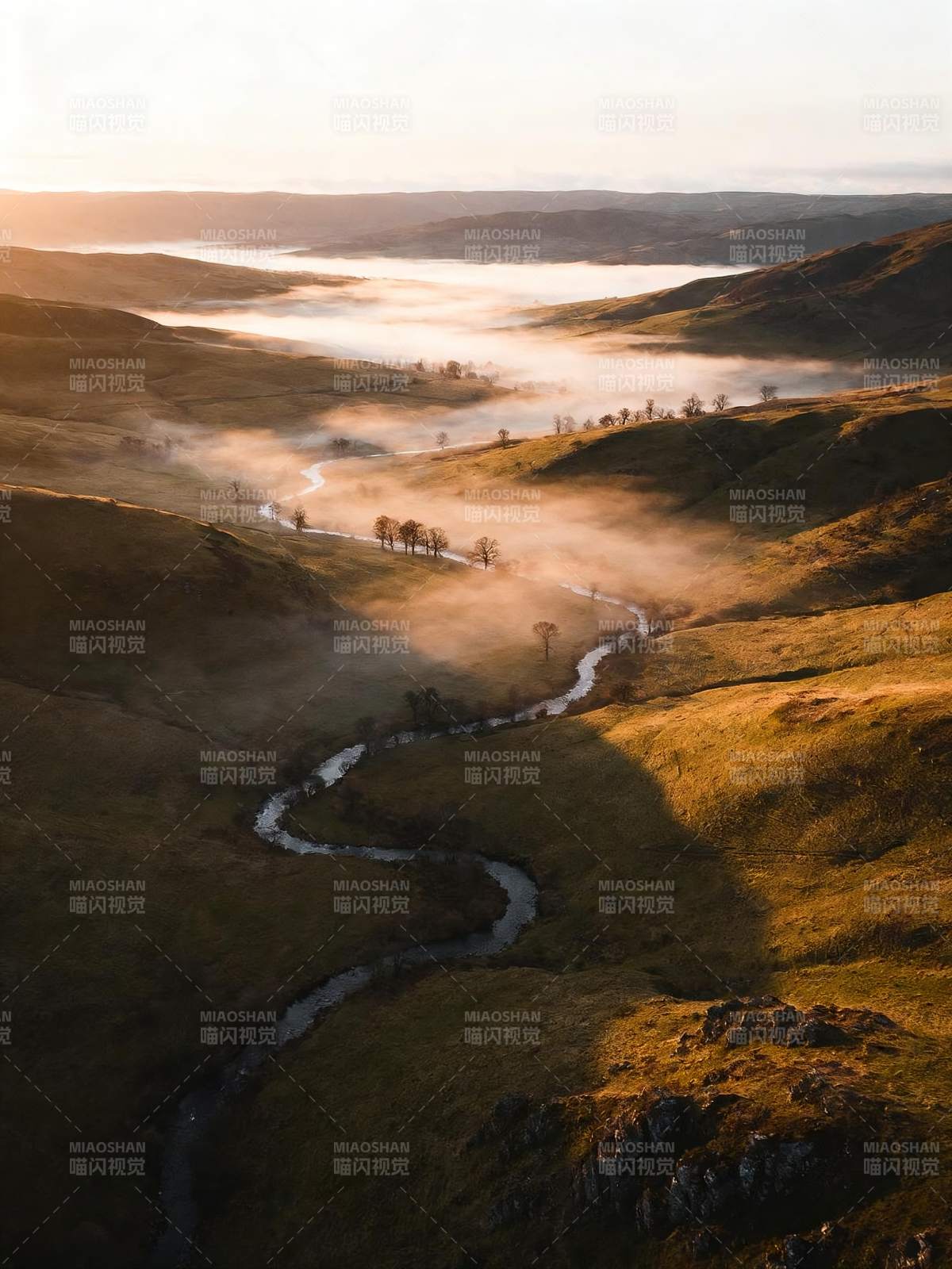 晨雾绕溪谷图片