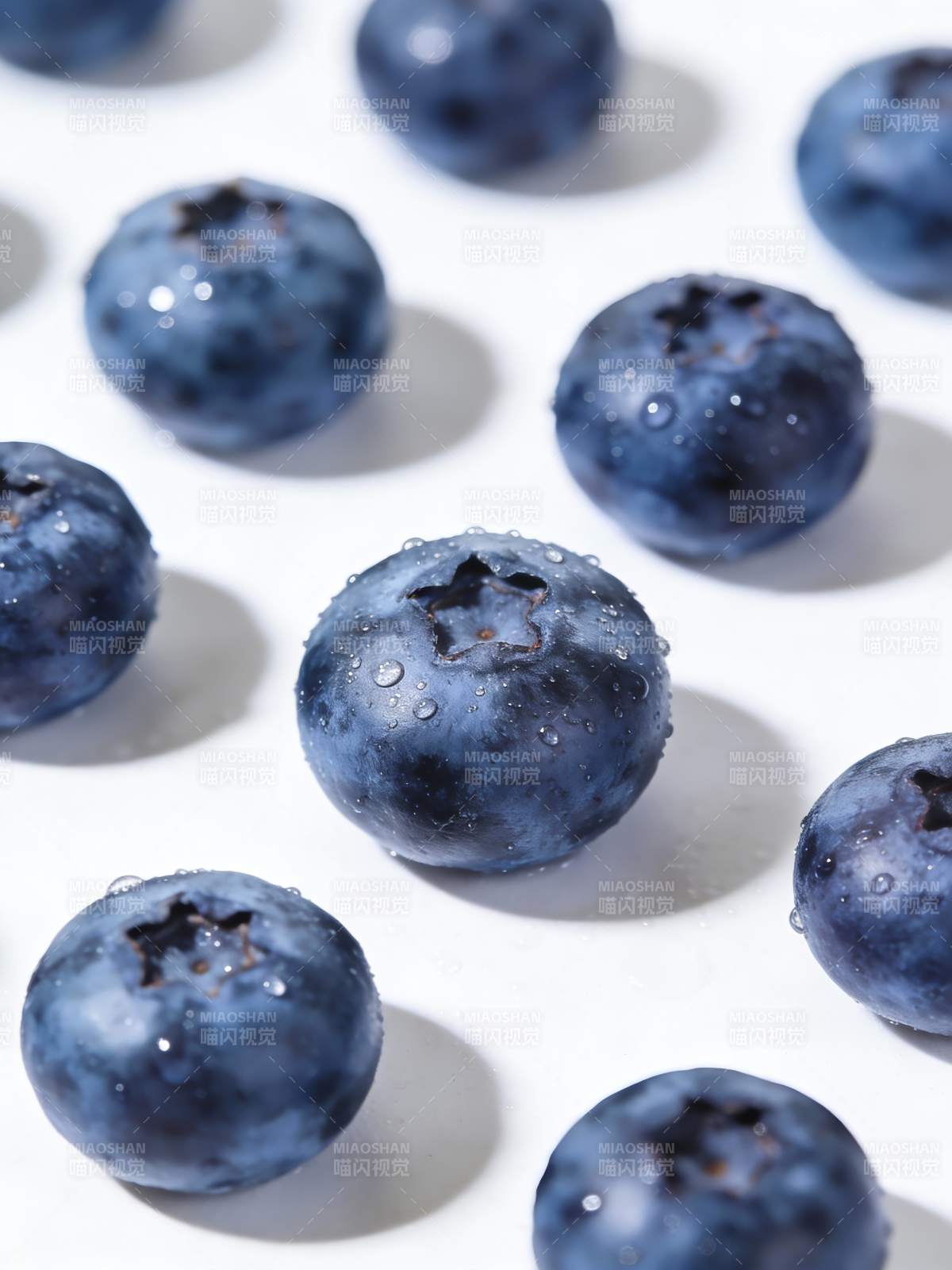 晶莹蓝莓特写图片