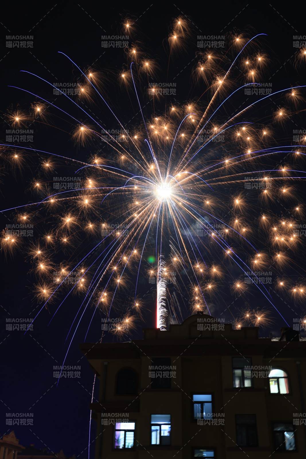 夜空烟花绽放图片