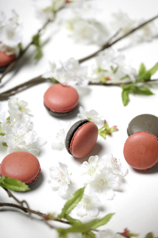 樱花与马卡龙的邂逅图片