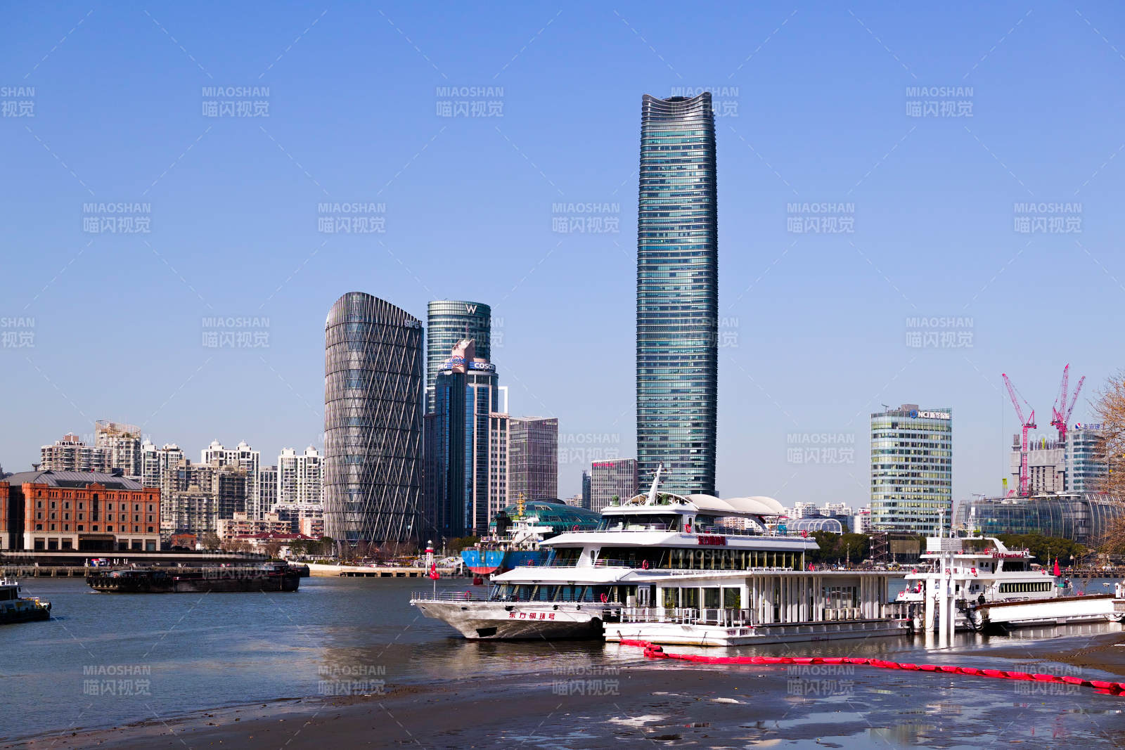 上海·远眺白玉兰广场图片