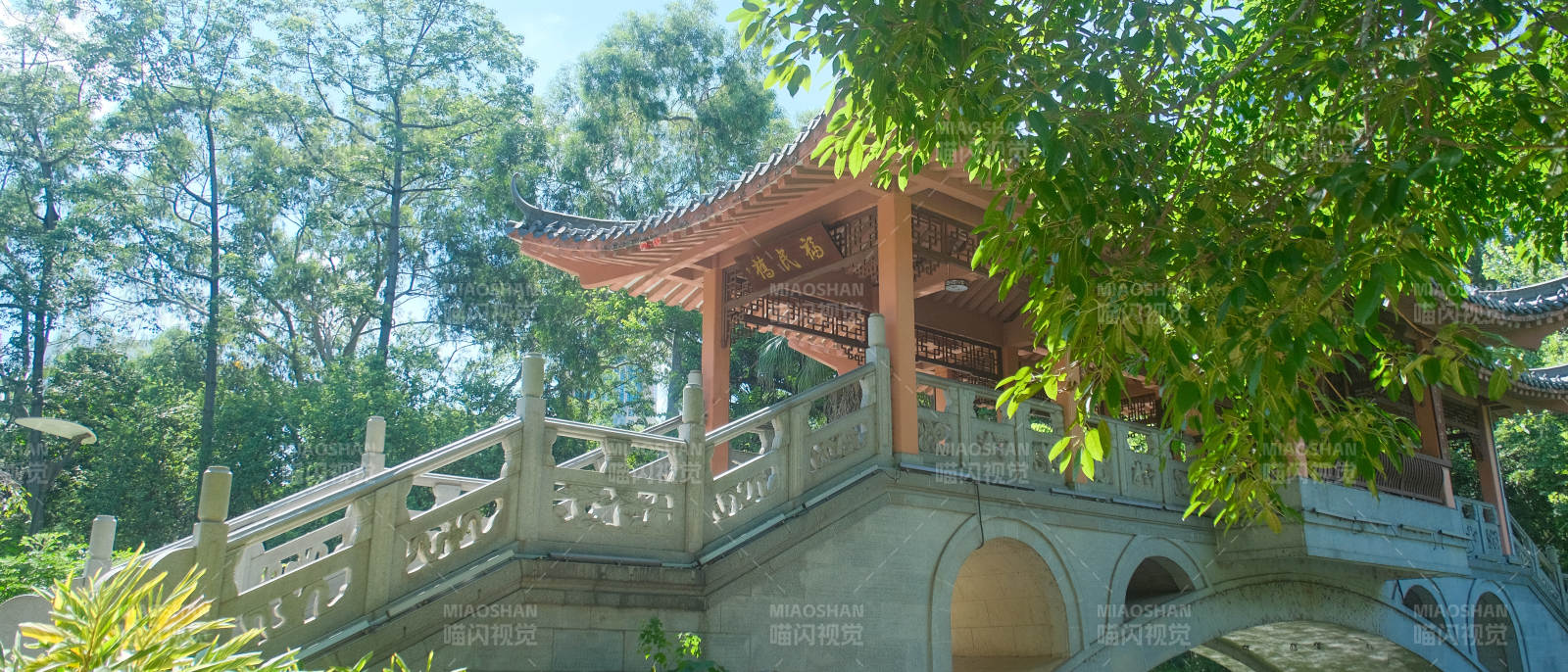 古亭绿荫映水桥图片