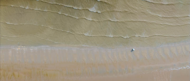 沙滩上的波纹与足迹图片