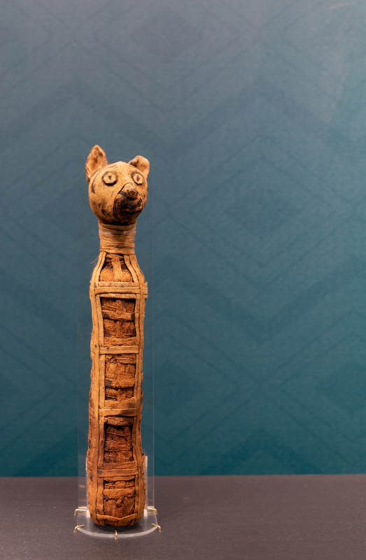 古埃及猫木乃伊（广州南越王博物馆展）图片