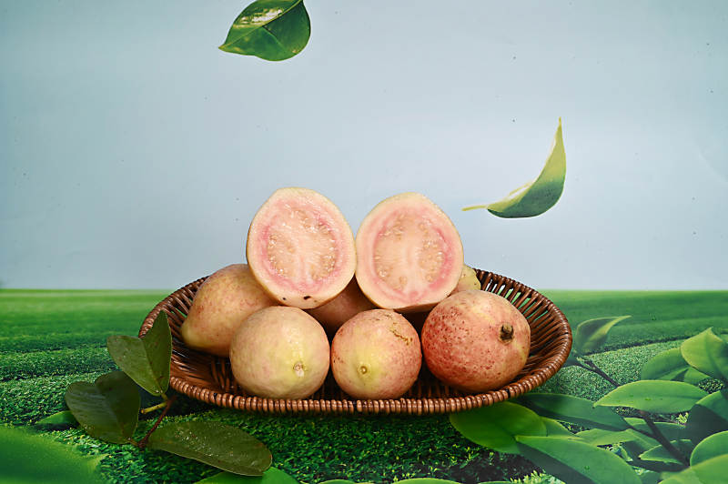 浆果多肉营养丰富的热带水果番石榴图片