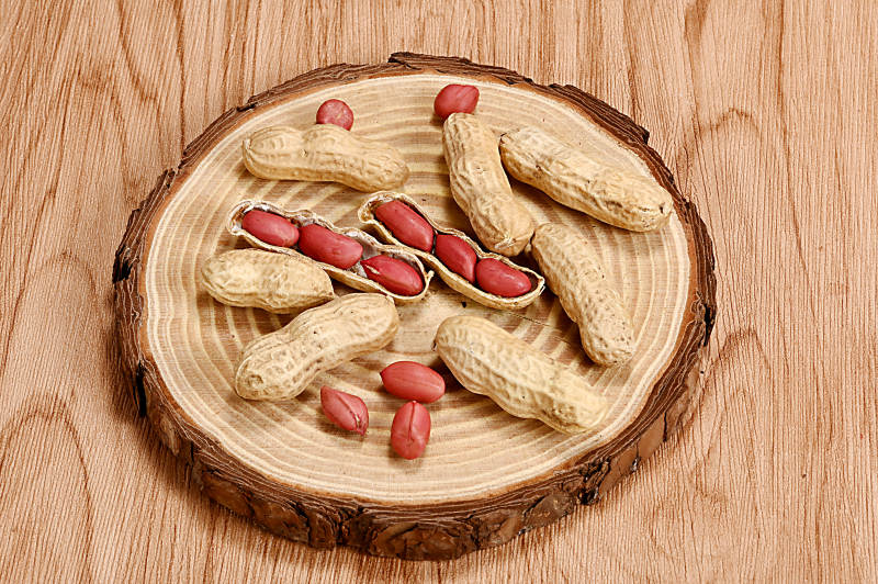 俗称长生果的花生特写图片