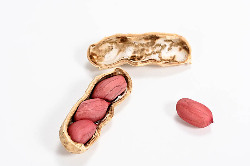 花生与果壳特写图片