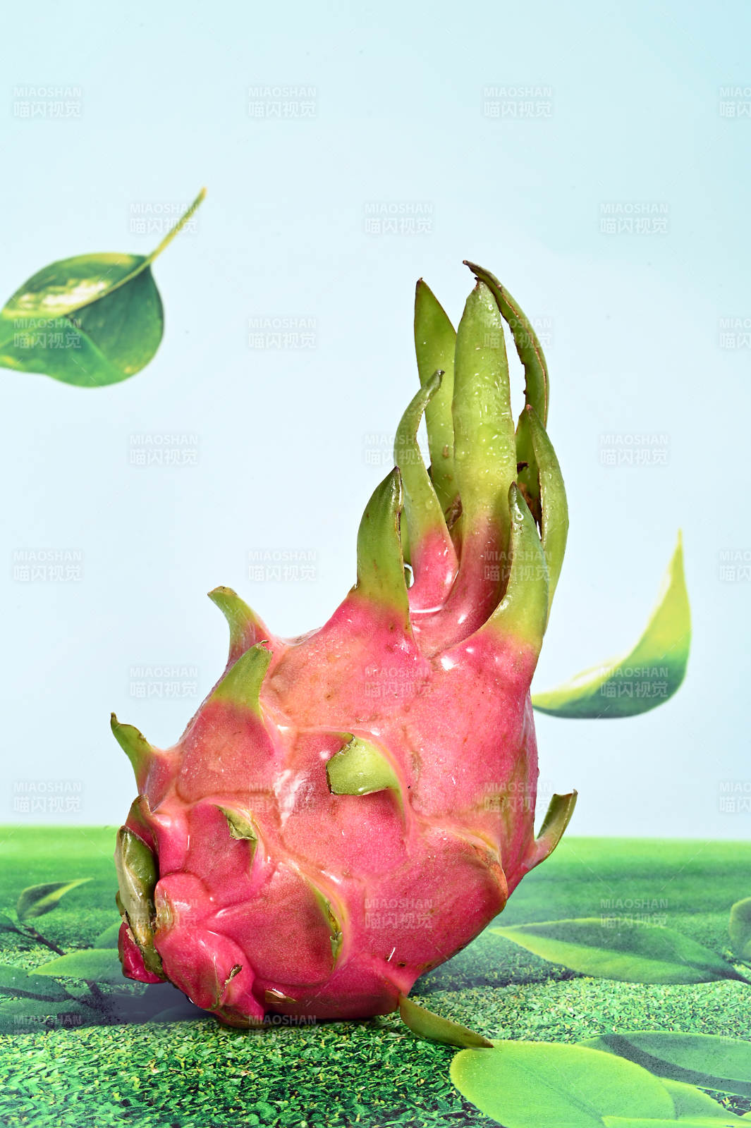 口感香甜爽口多汁的热带水果火龙果特写图片