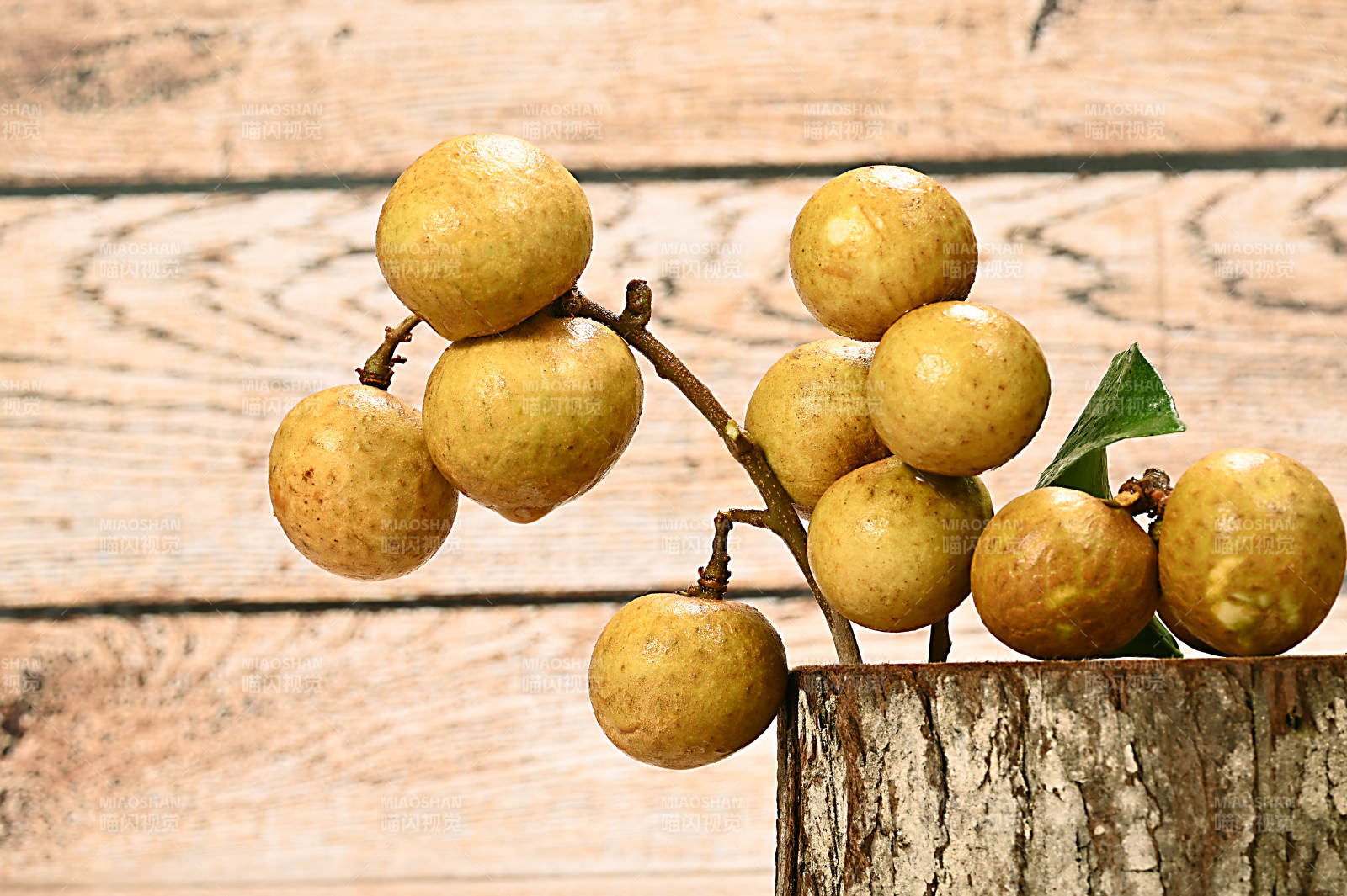 甘甜多汁营养丰富的亚热带水果龙眼特写图片