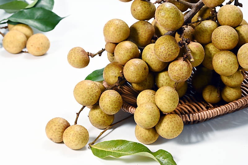 甘甜多汁营养丰富的亚热带水果龙眼特写图片