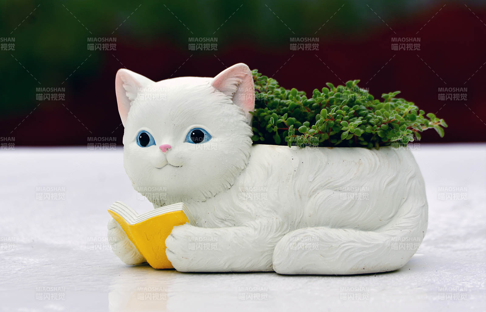 精品创意微景观可爱猫猫花盆图片