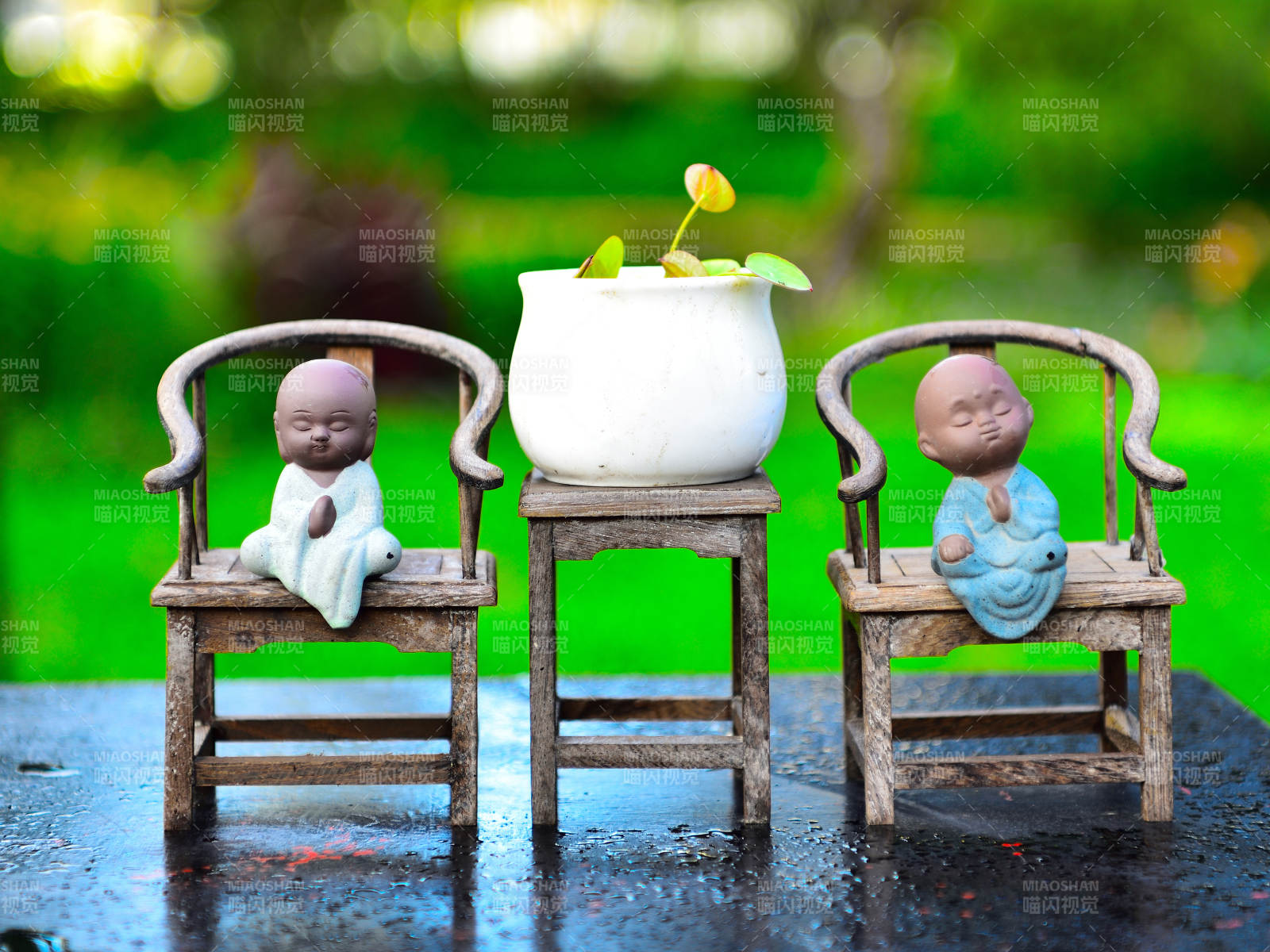 精品碗莲创意微景观图片