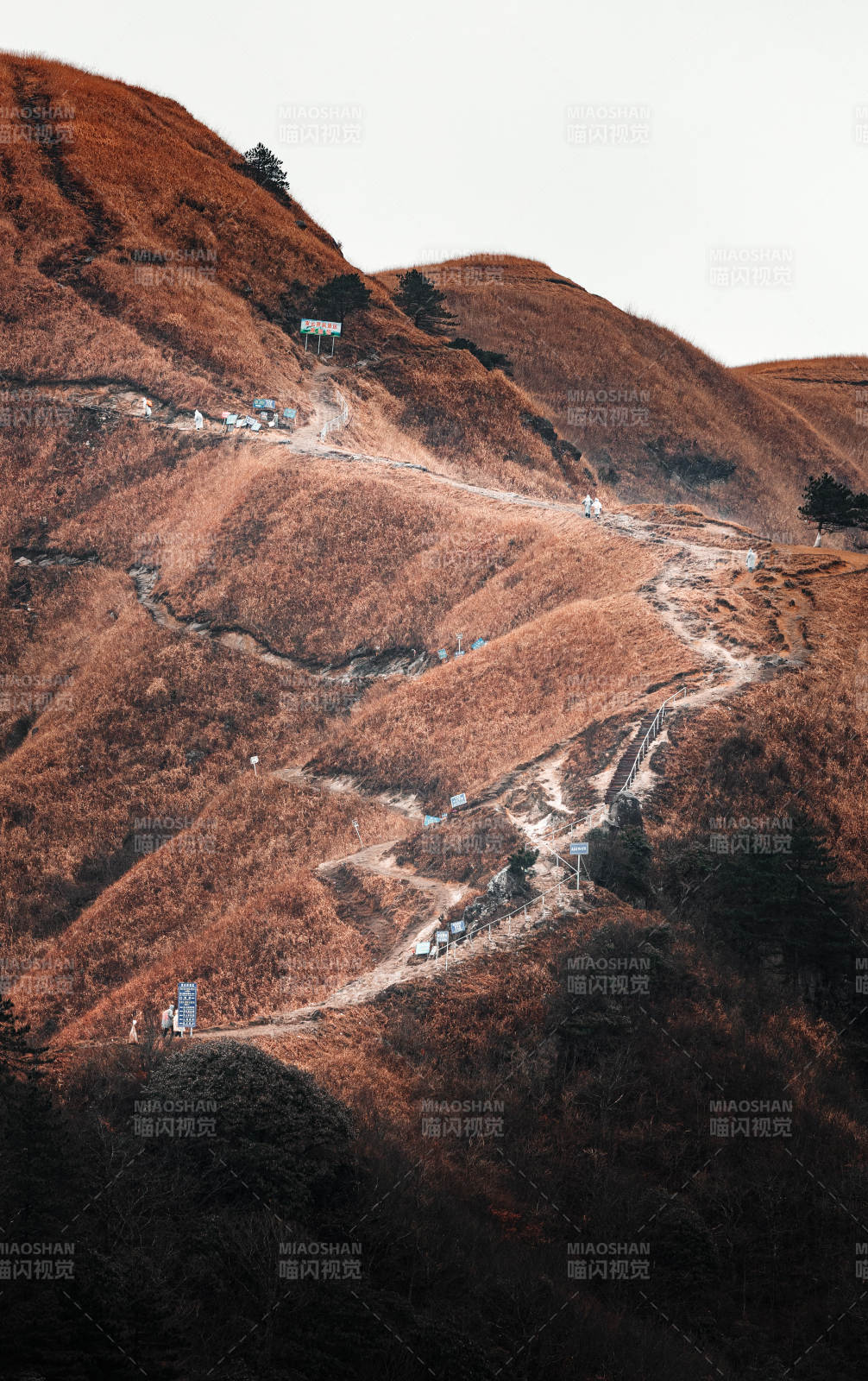 山径蜿蜒入秋色 武功山图片