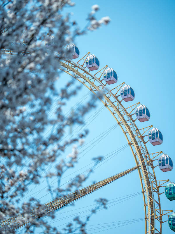 春日摩天轮图片