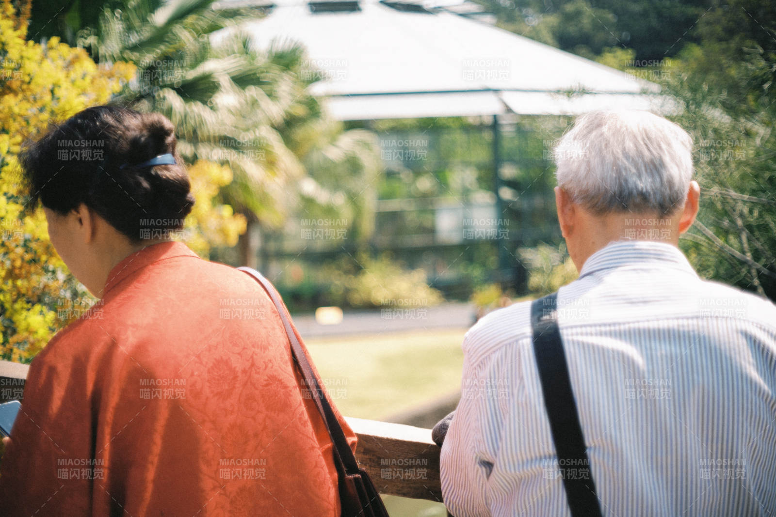 老夫妇园中赏景图片
