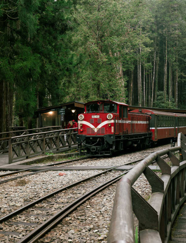 森林中的红色小火车图片