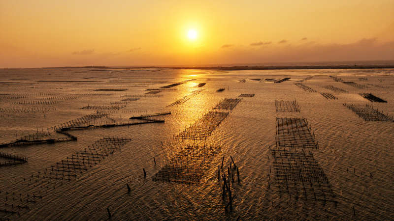 夕阳下的渔排美景图片
