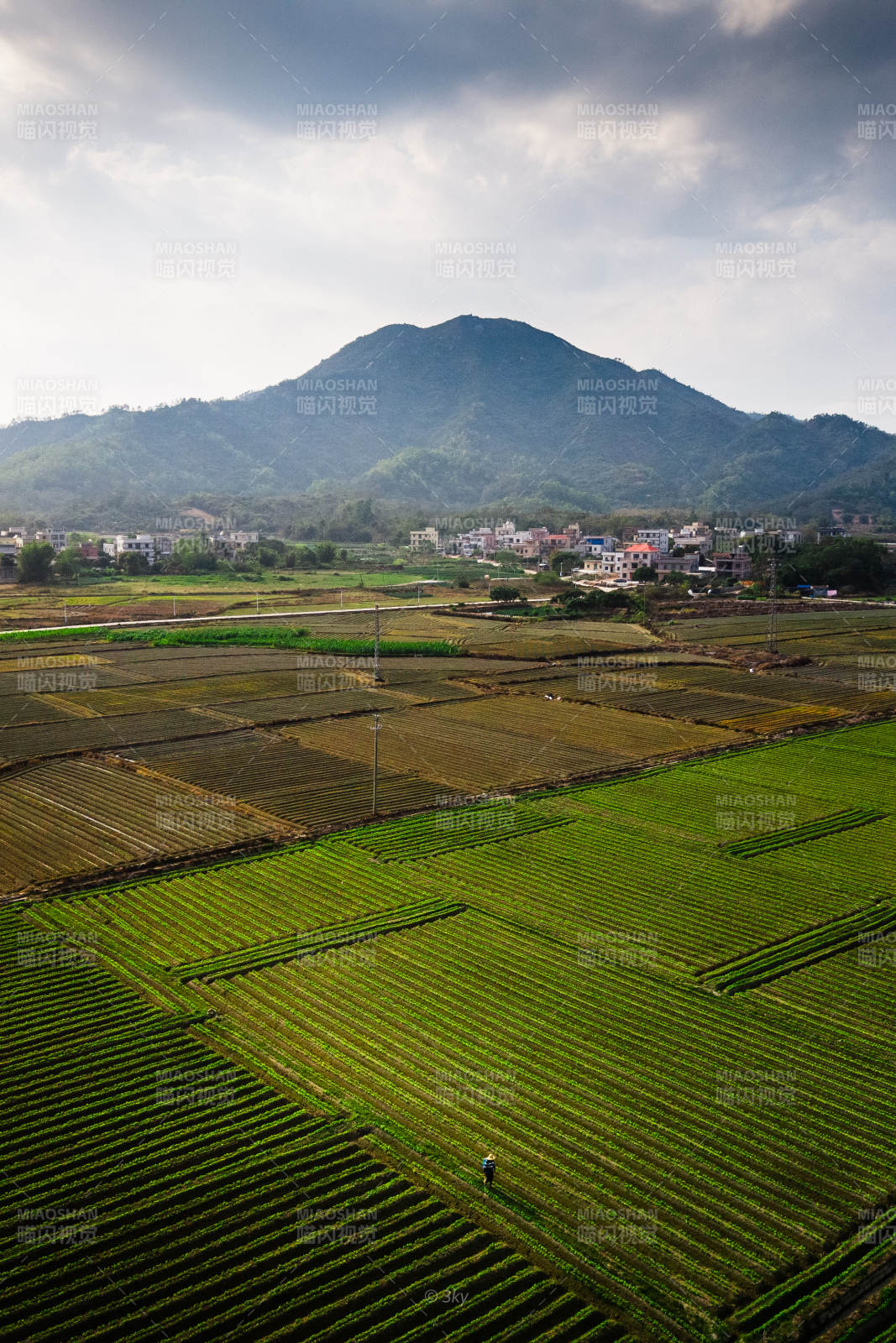 乡村田园耕种的人民图片