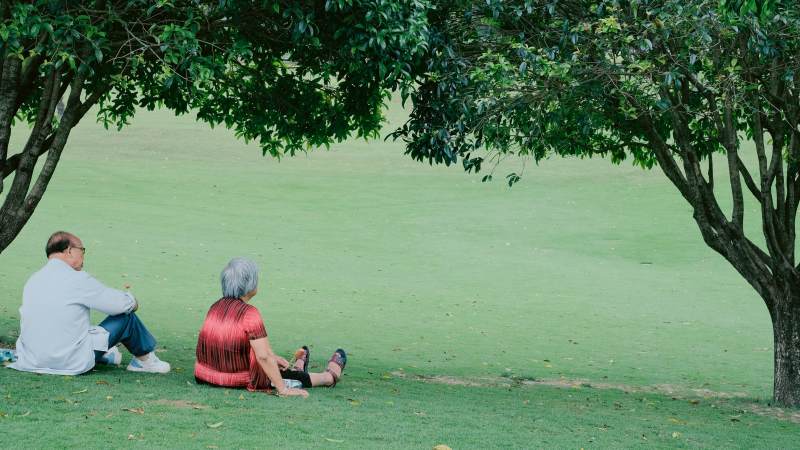 树下静坐的老人图片