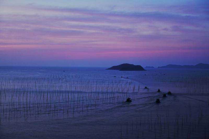 霞浦渔场晨曦图片