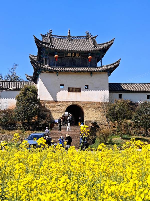 油菜花海映古门图片