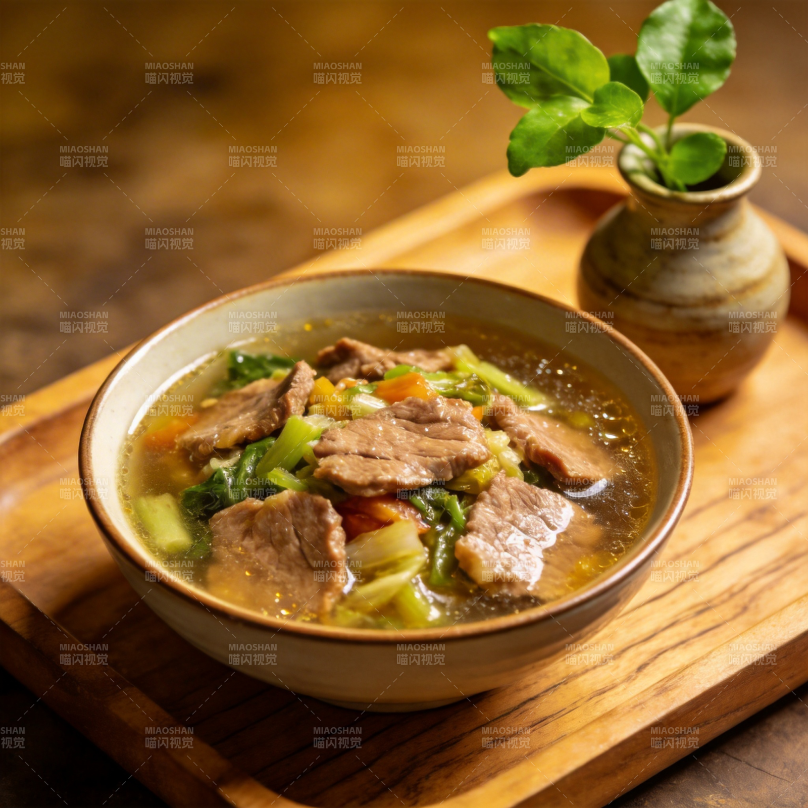 牛肉蔬菜汤图片