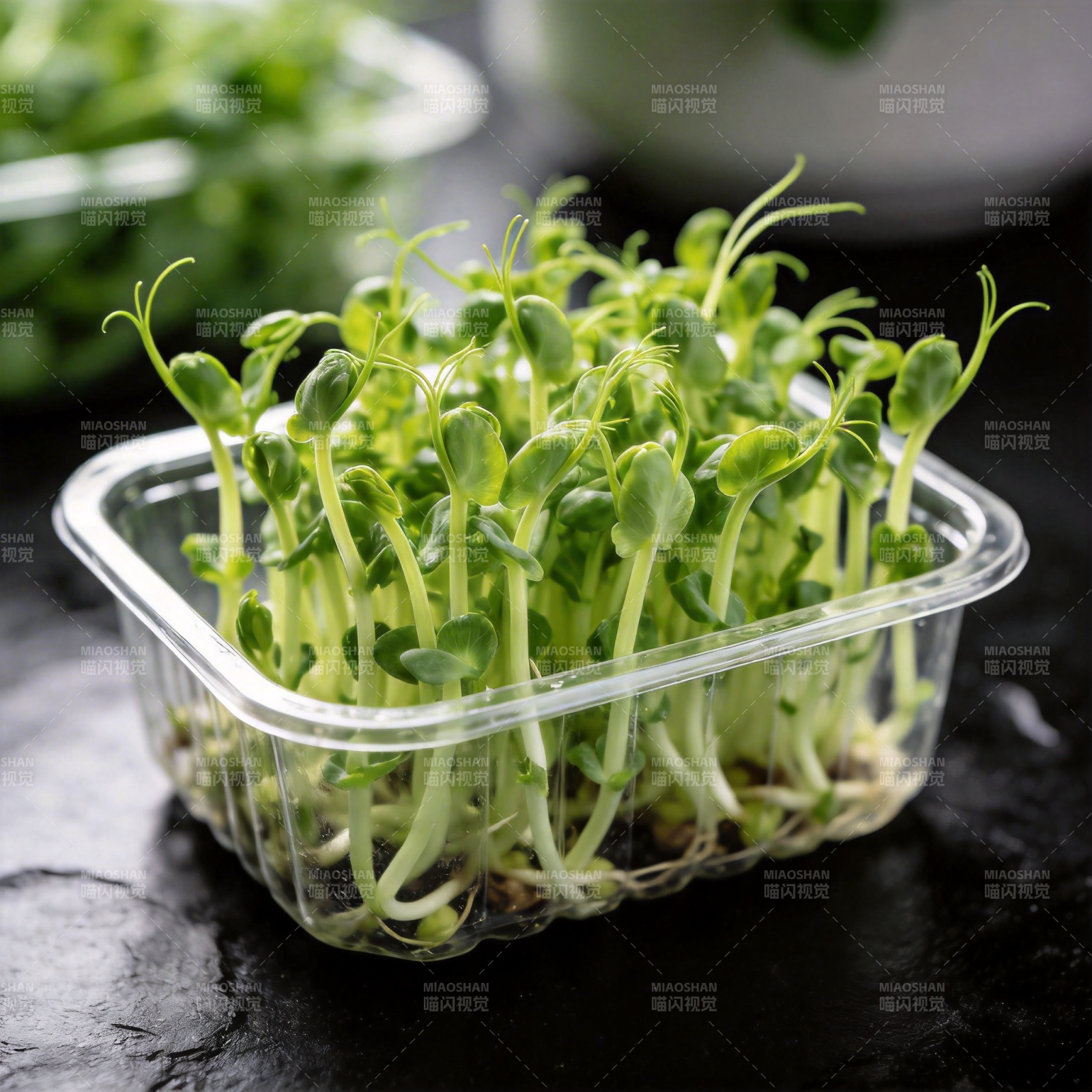 新鲜豌豆苗图片