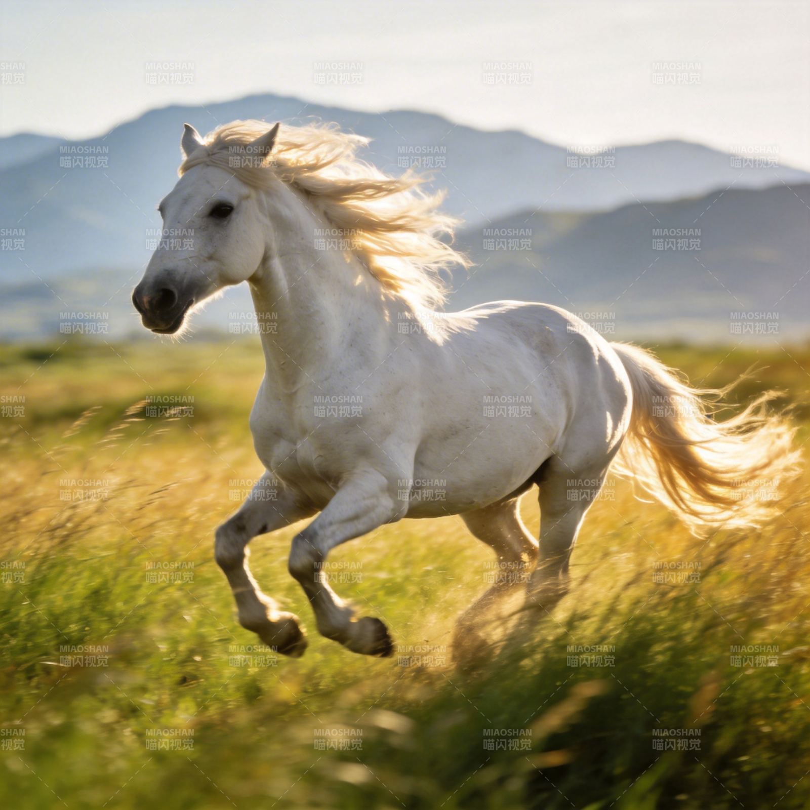 白马奔腾草原图片