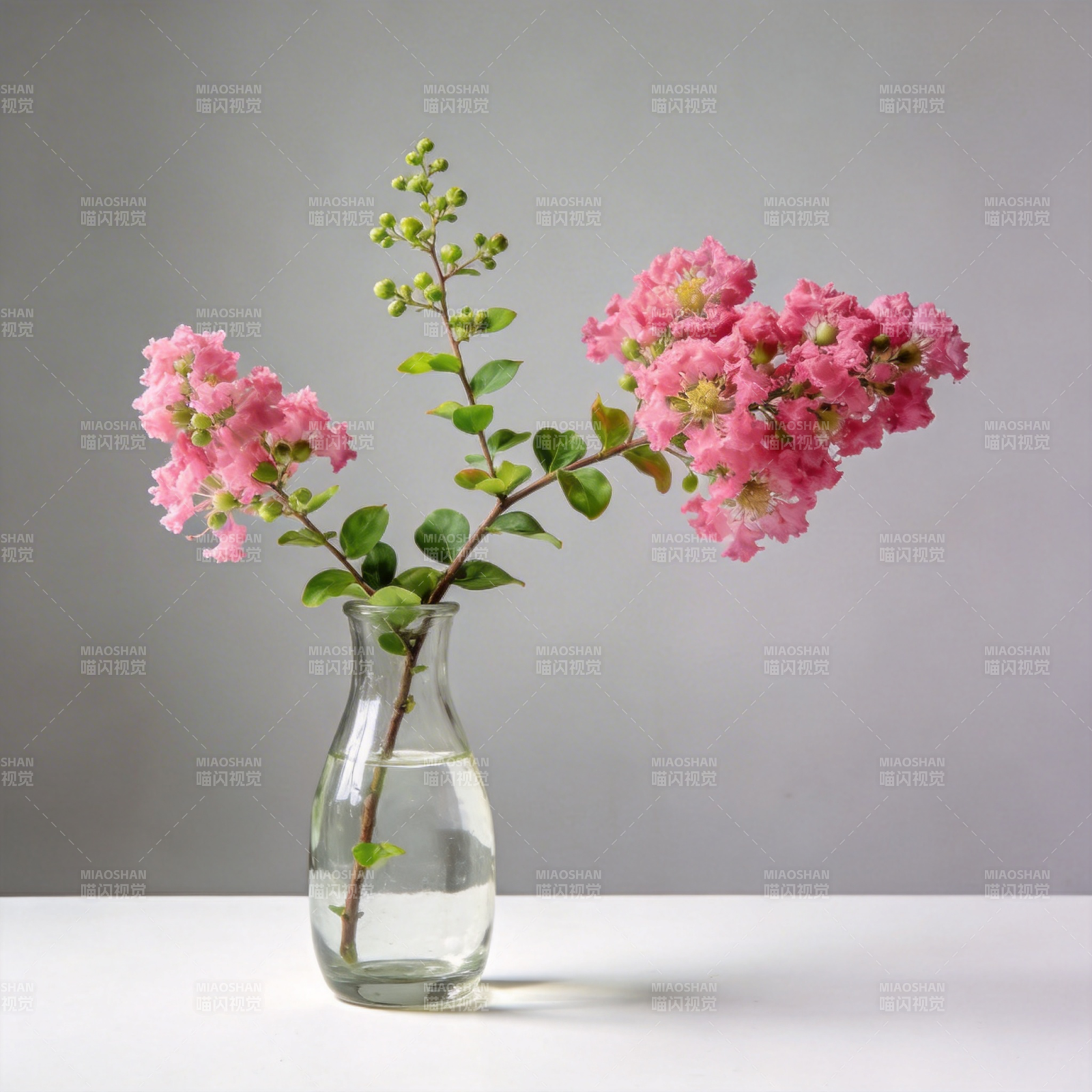 粉花绿叶清雅瓶景图片