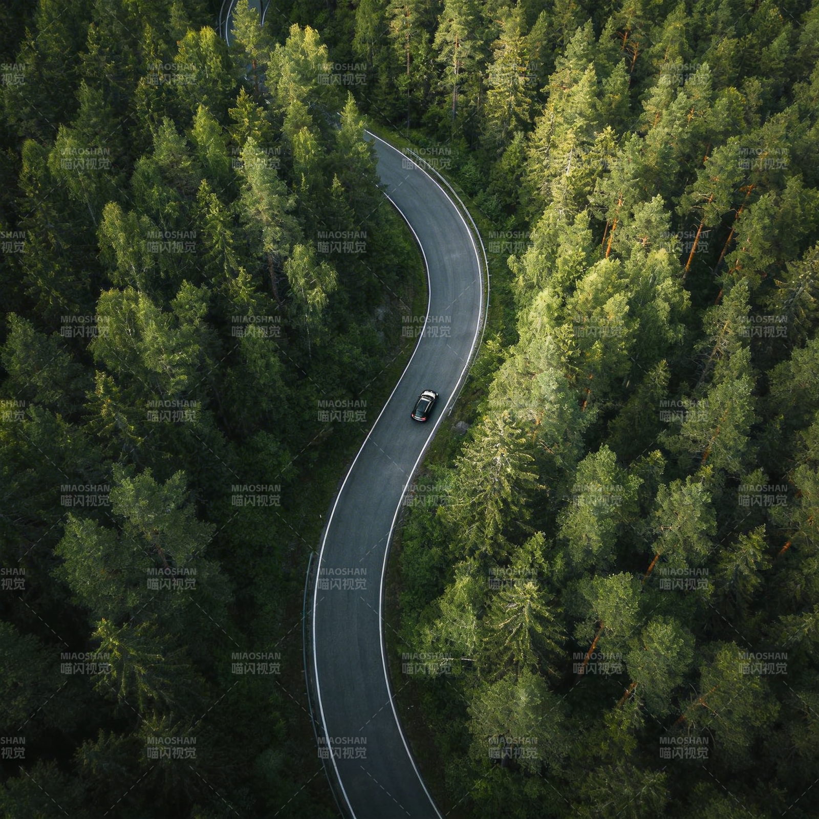 林间蜿蜒路图片