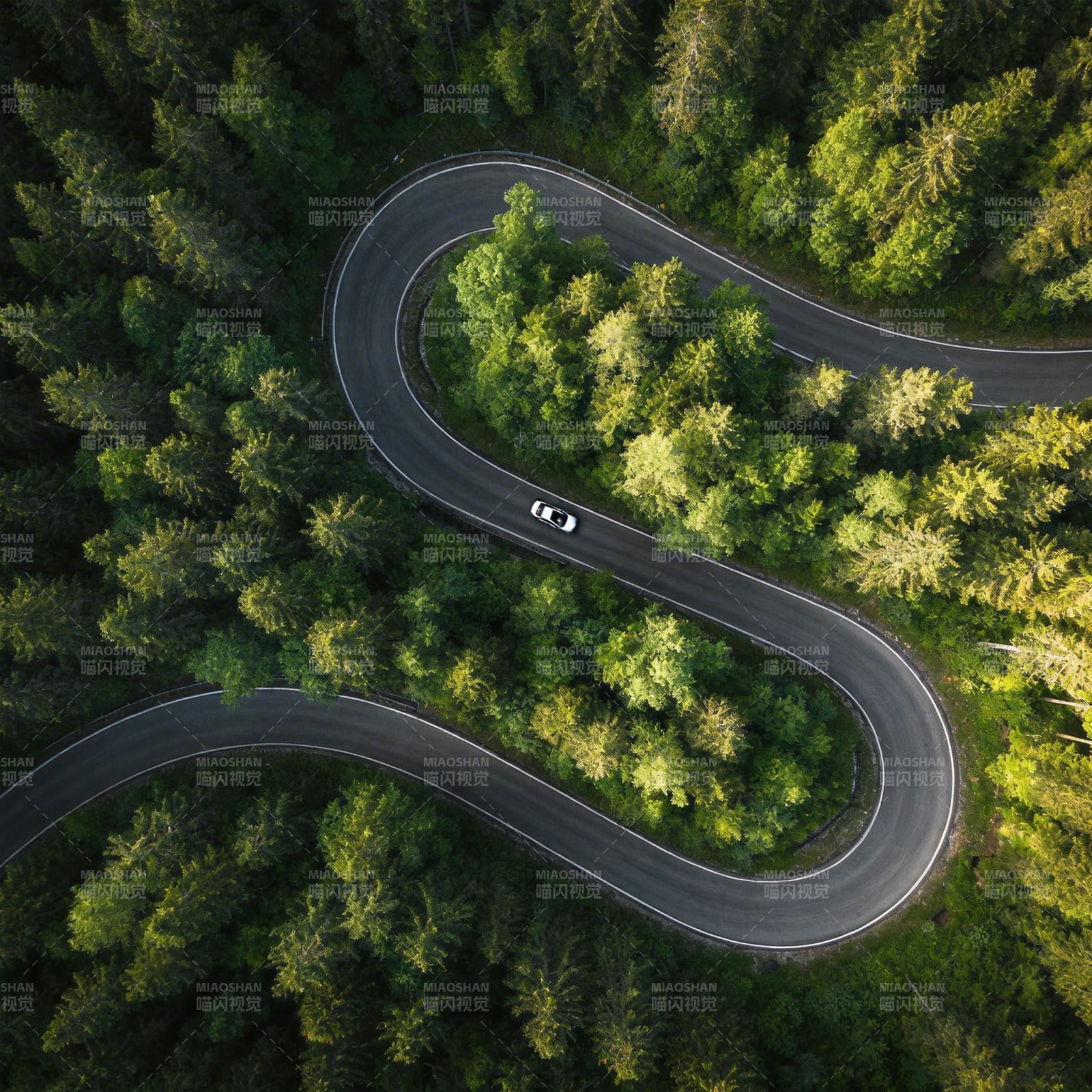 林间蜿蜒路图片