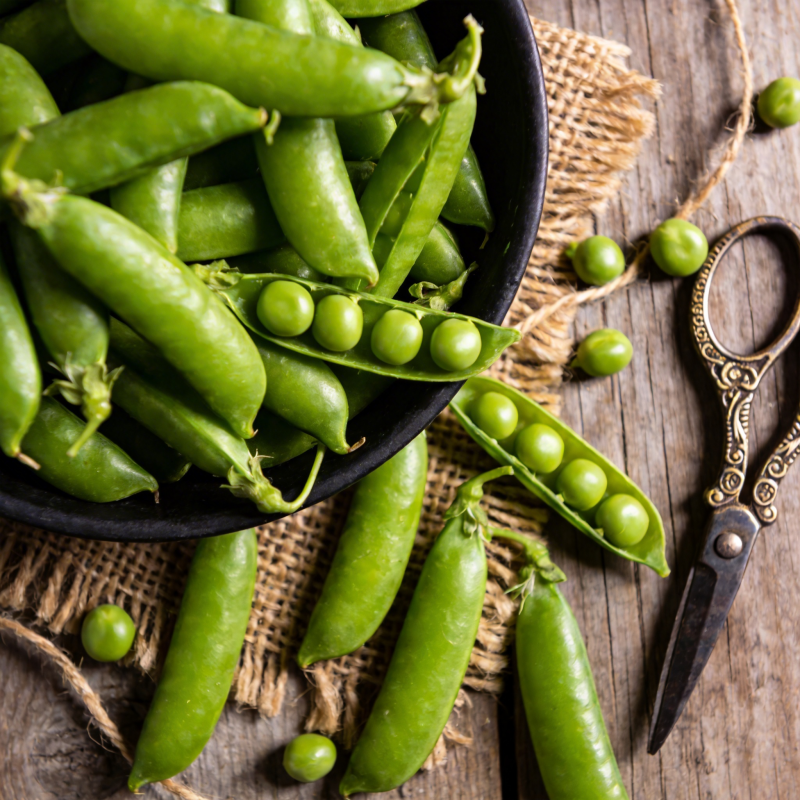 新鲜豌豆荚图片