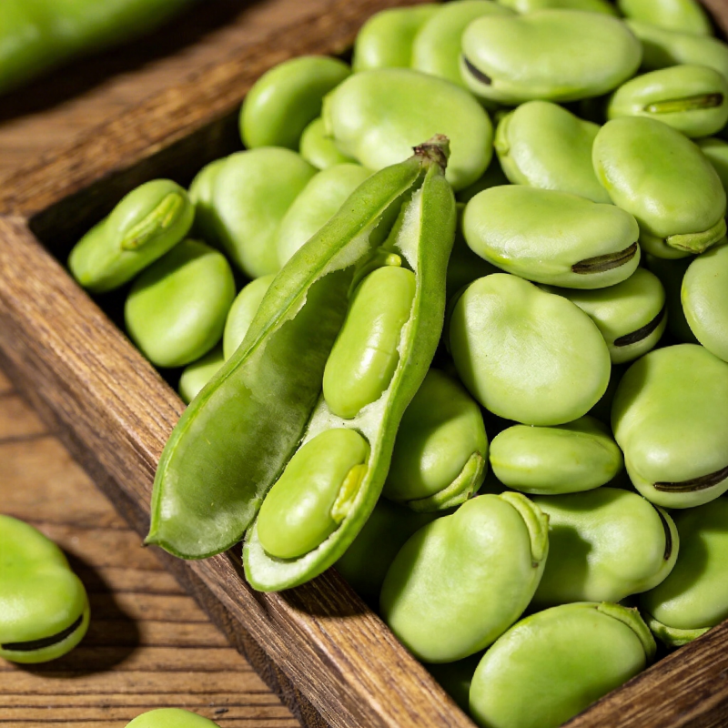 新鲜蚕豆特写图片