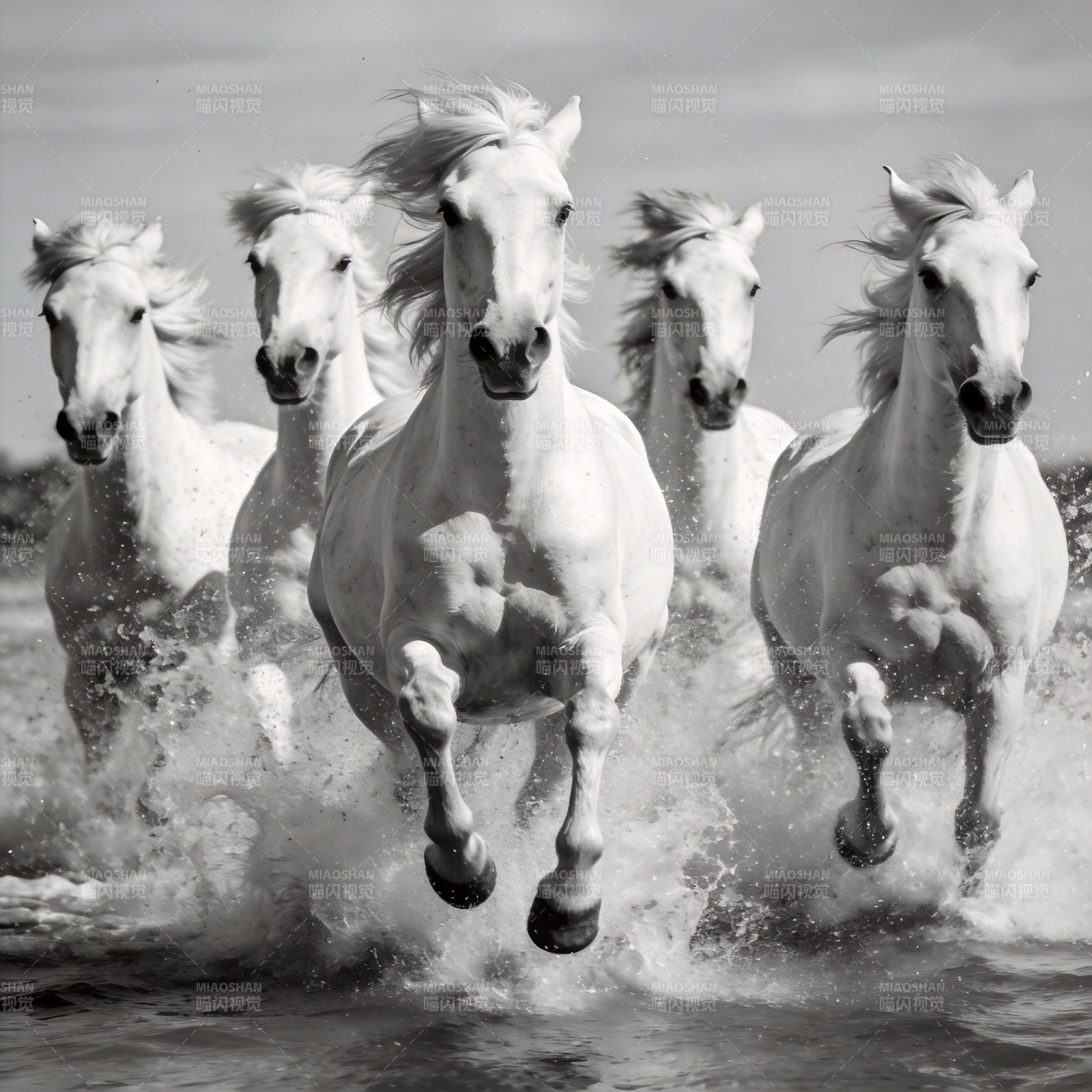 白马奔腾水花四溅图片