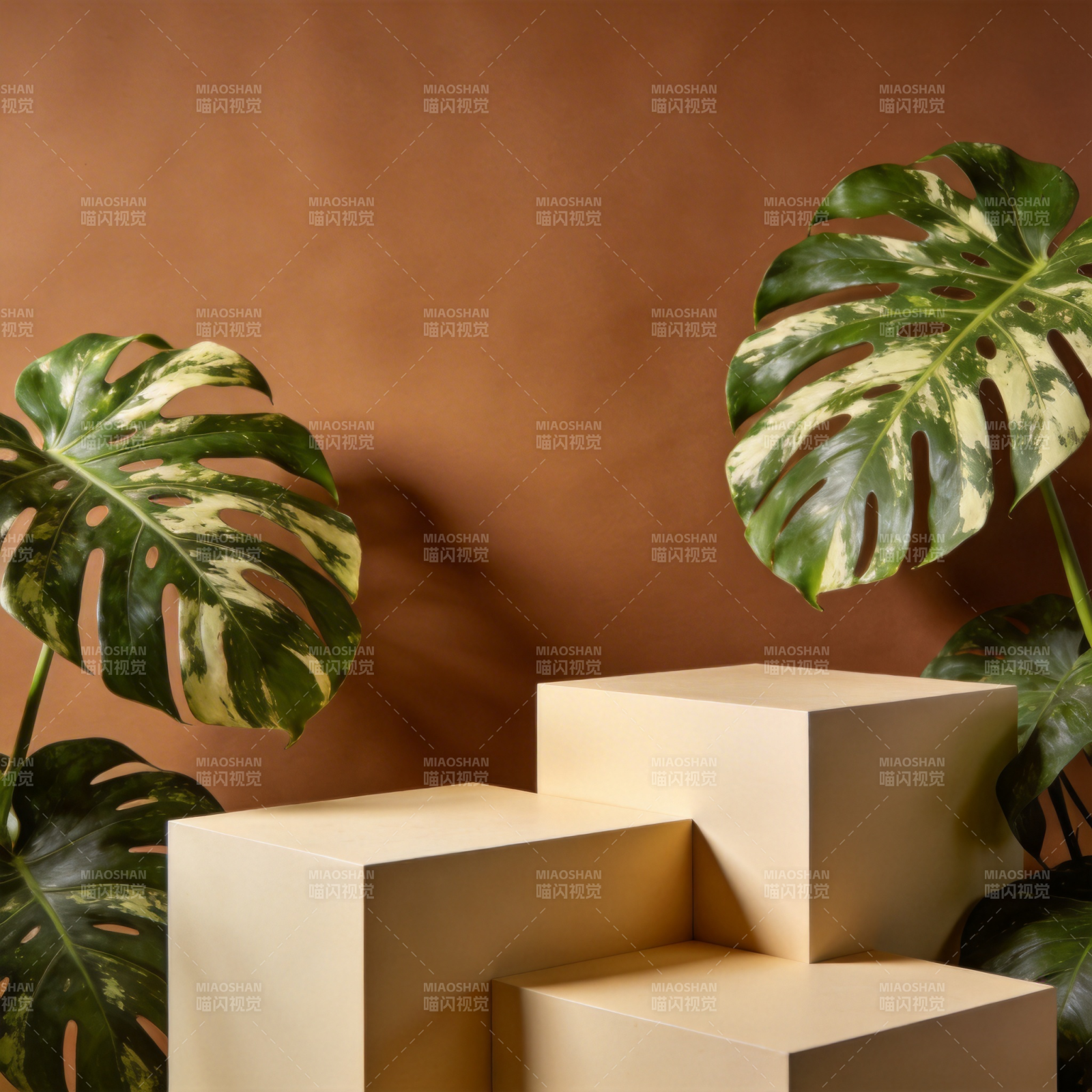 绿叶与几何台座图片