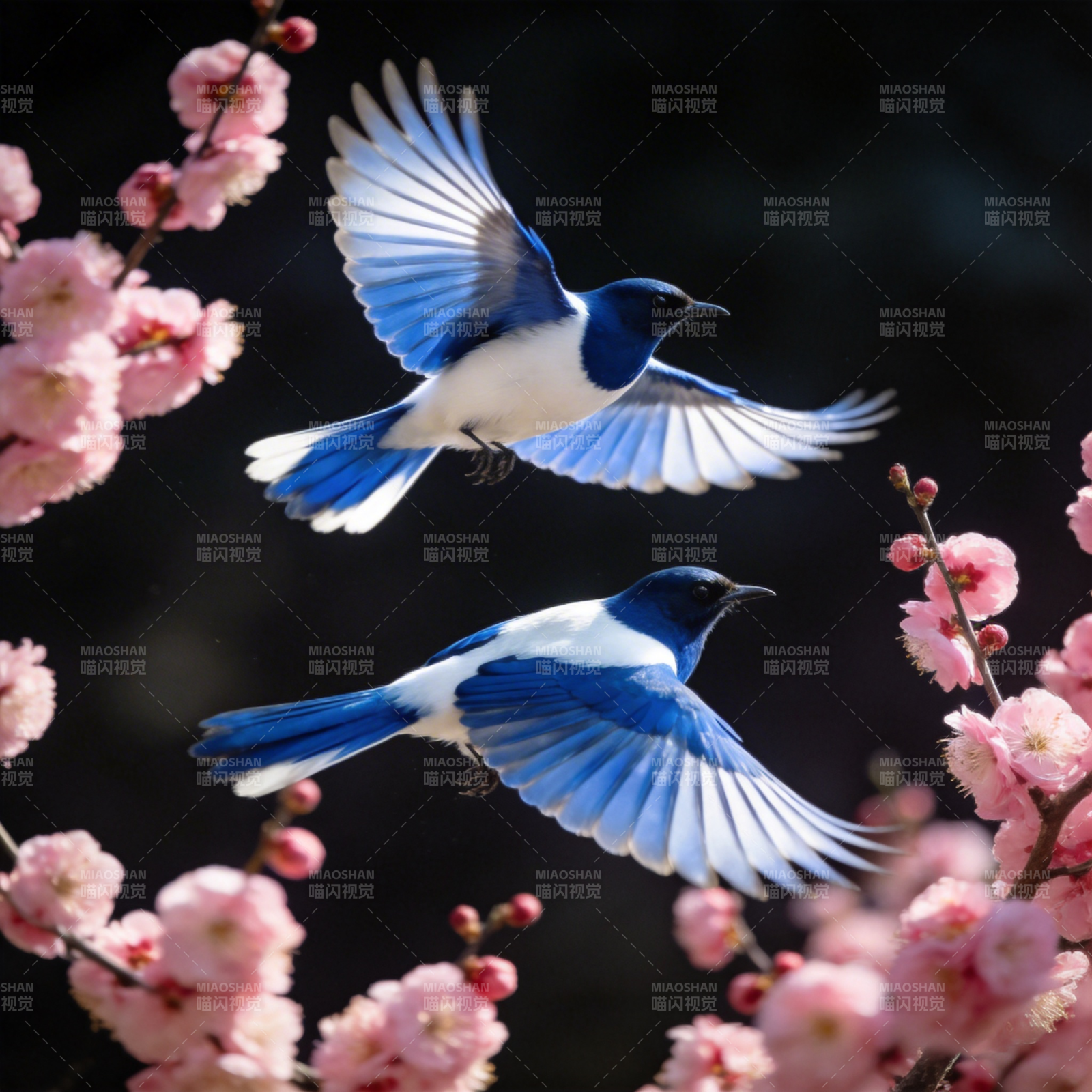 蓝鹊飞舞花间图片