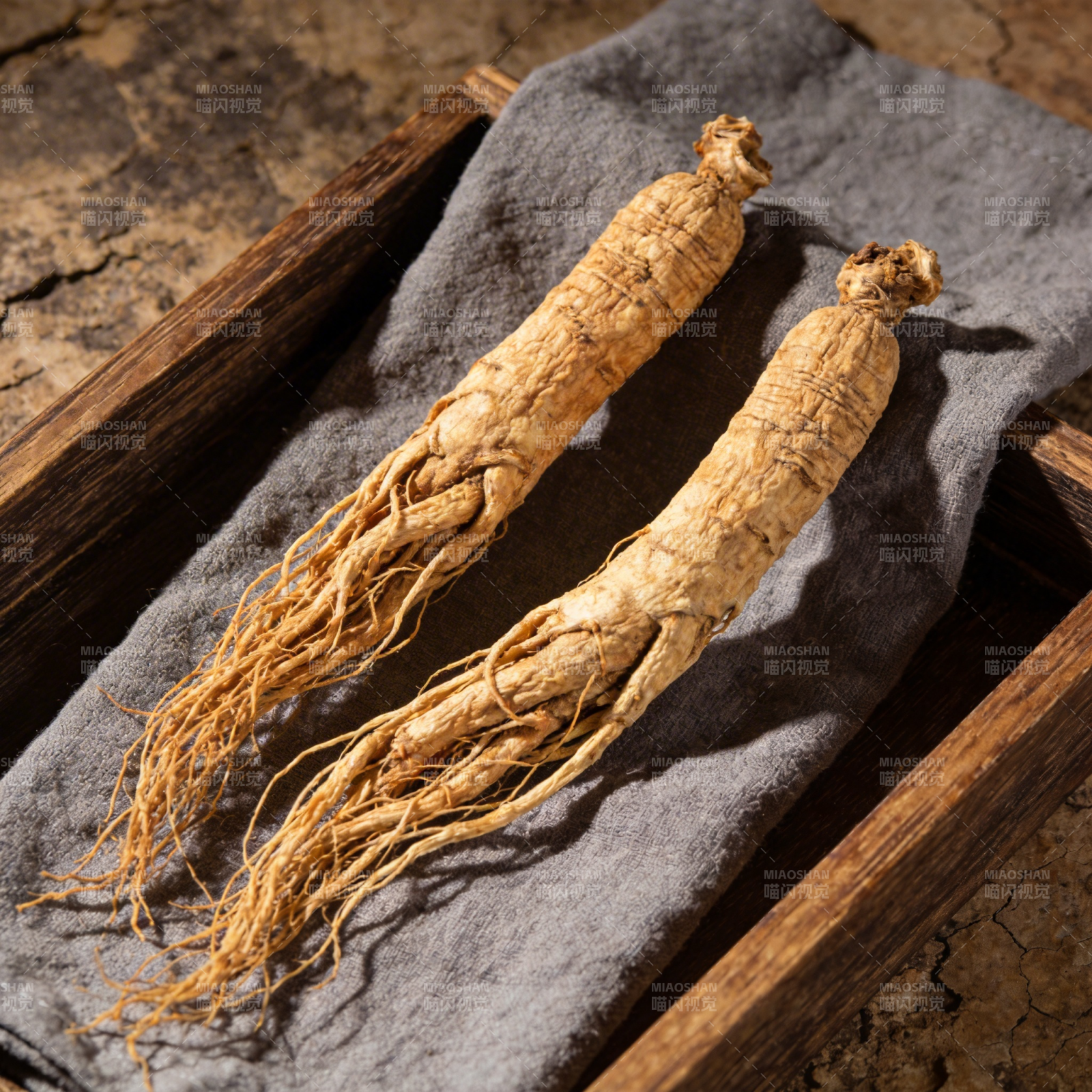 人参根茎特写图片