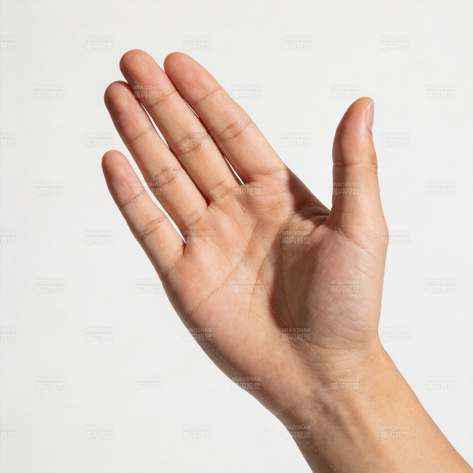 手掌向上展示图片