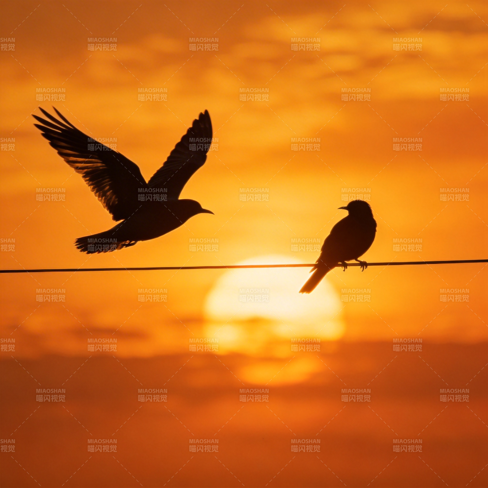 夕阳双鸟剪影图片