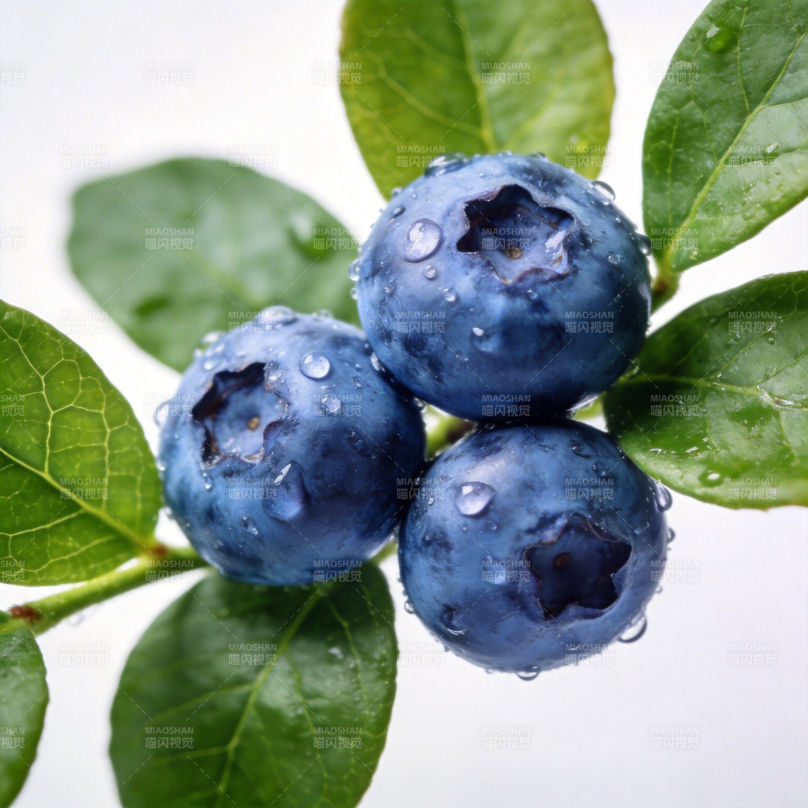蓝莓鲜果特写图片