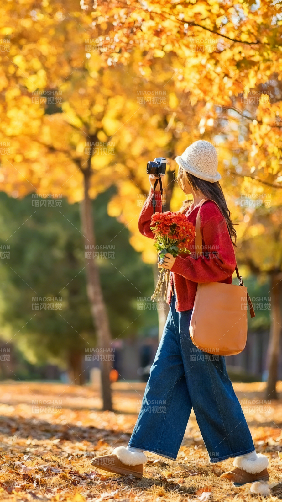 秋日拾光 花影随行图片