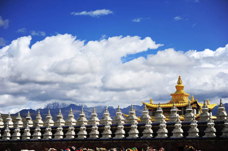 四川雪山下的金色寺庙图片