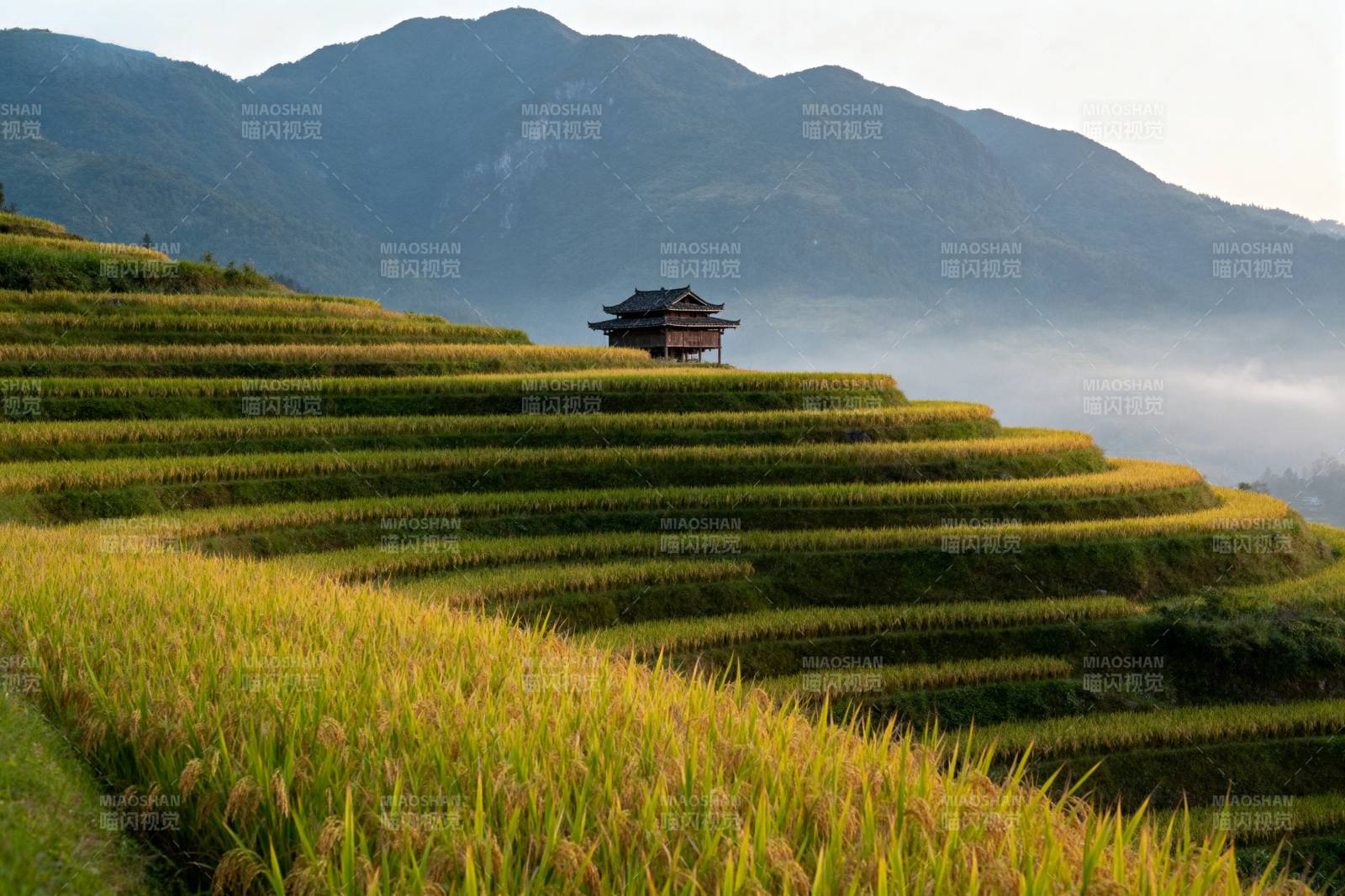 梯田晨曦山居图图片