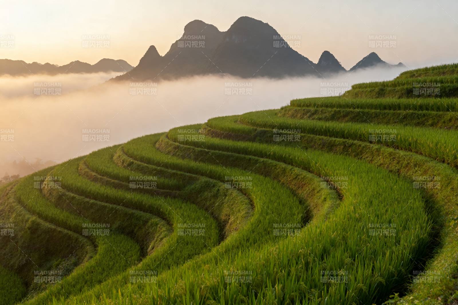 梯田晨雾山影图片