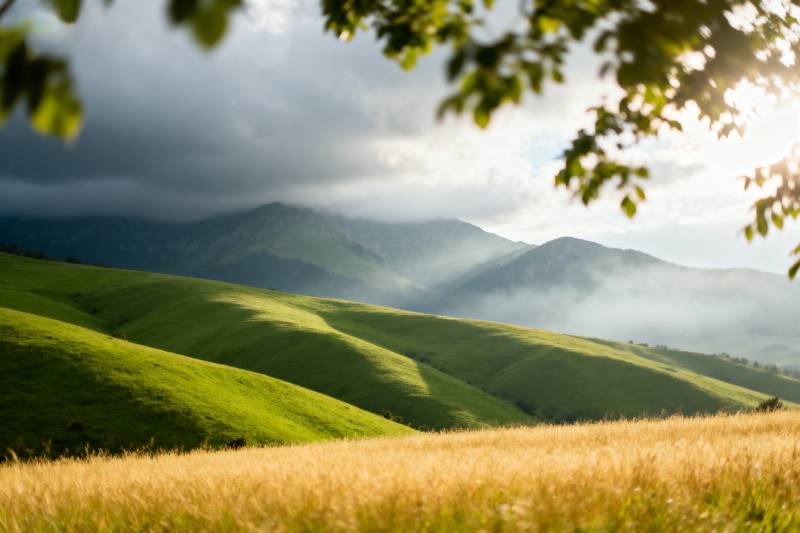 山间绿野晨光图片