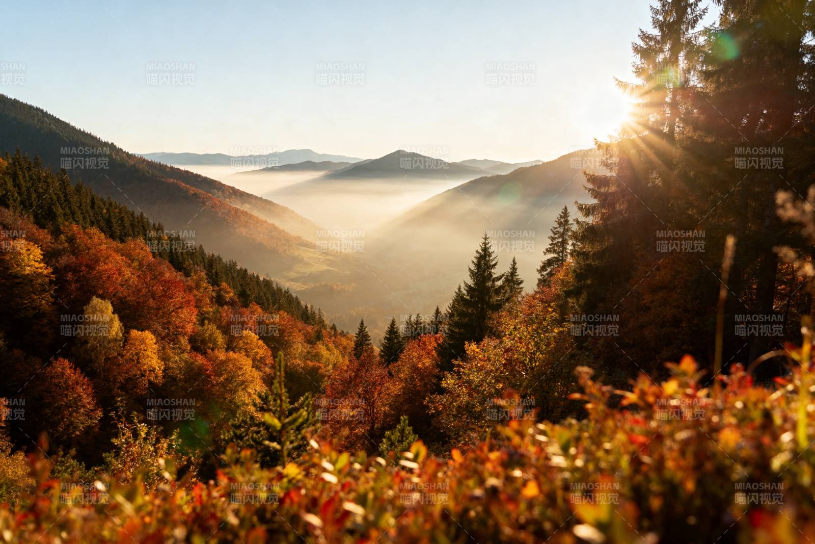 秋山晨雾日出图片
