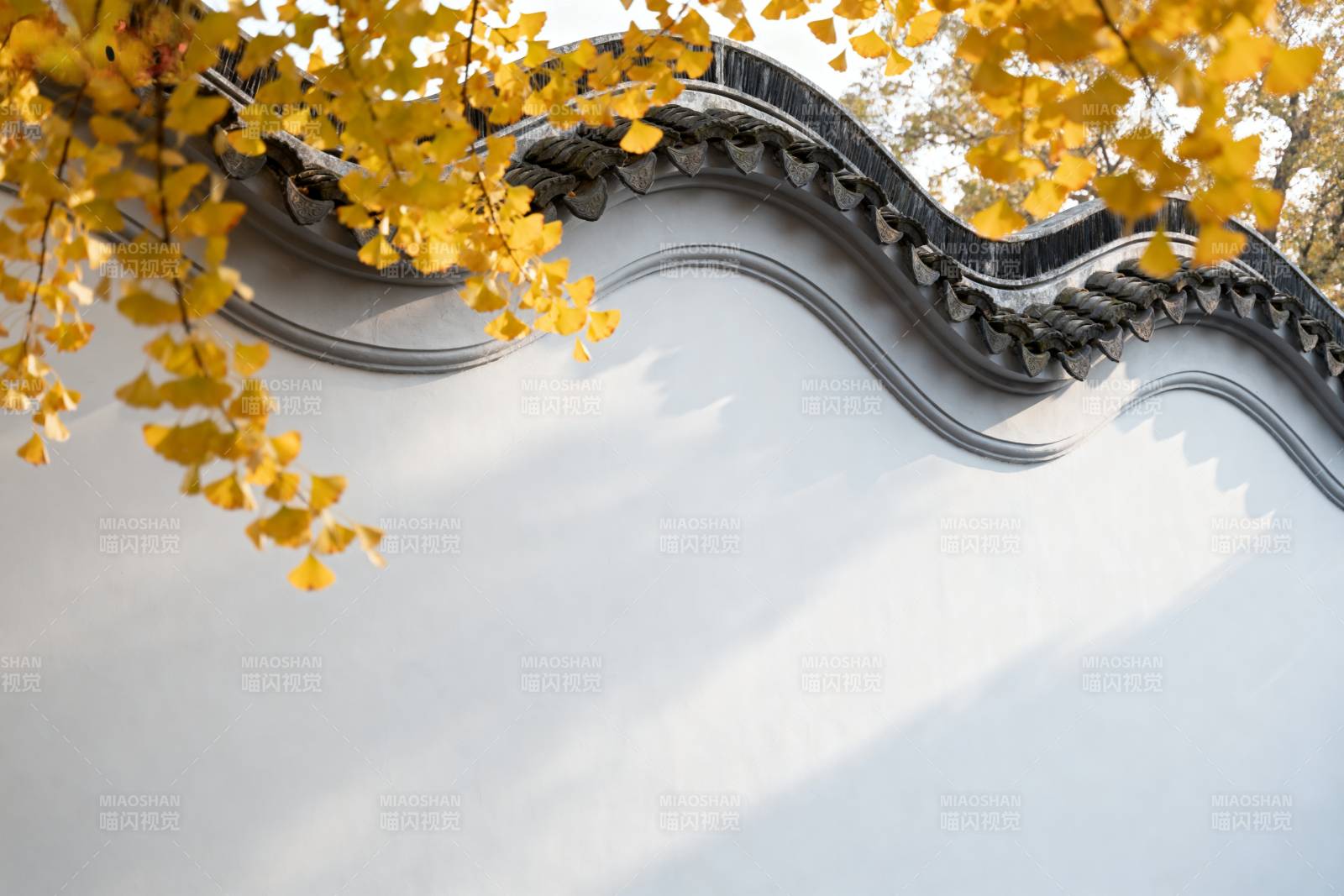 秋叶映古檐图片